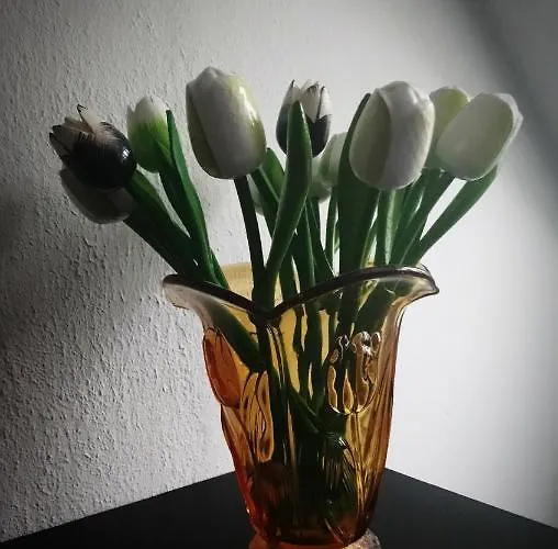 Ustawi Wilp-Achterhoek